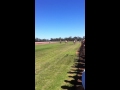 Camel racing in Forbes Australia