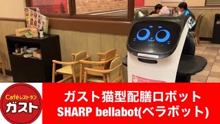 ガスト猫型配膳ロボットSHARP bellabot(ベラボット)