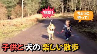 犬と散歩している子供.飼い主を待つ優しい犬