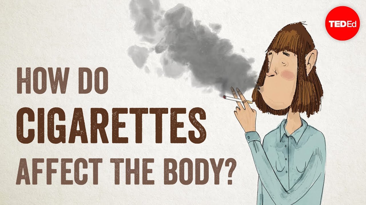 How Do Cigarettes Affect The Body One Young India