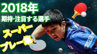 【卓球2018年】期待、注目する選手のスーパープレー【丹羽選手、樊振東選手ETC...】