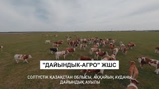 Дайындық ауылы. Дайындық-Агро ЖШС.  2022 жыл