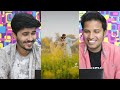 iqreeb iqra kanwal u0026 areeb cutest u0026 romantic edits reaction 😍🔥 iqrakanwal garam samosa