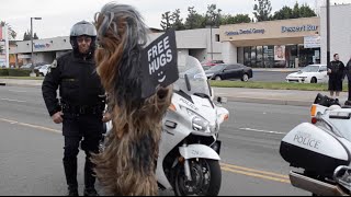Chewbacca Dancing on Star Wars Day! May The 4th Be With You