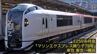 E259系特急『マリンエクスプレス踊り子79号』車窓 ～東京→横浜～