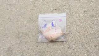 KWEC Science - Exploding Snowman
