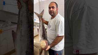 🐟ماهی سِکن یا سه کله❌مناسب انواع پخت #fishing #fish #seafood #animals #ماهی #میگو #persiangulf #غذا