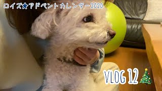 vlog12🎄産後の髪の毛事情【ロイズアドベントカレンダー】