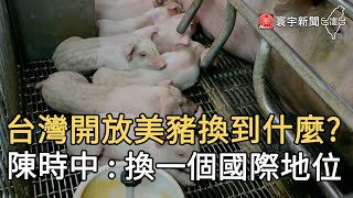 台灣開放美豬換到什麼? 陳時中 : 換一個國際地位｜寰宇新聞20200831