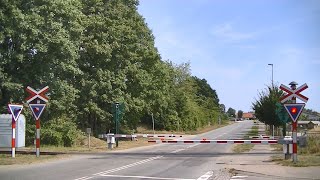 Spoorwegovergang Rødvig (DK) // Railroad crossing // Jernbaneoverskæring