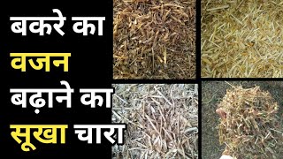 बकरे को मोटा ताज़ा बनाने का सूखा चारा । Dry fodder।  Goat। Goat farming।