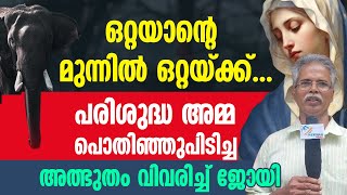 ഒറ്റയാന്റെ മുന്നിൽ ഒറ്റയ്ക്ക്.പരിശുദ്ധ അമ്മ പൊതിഞ്ഞുപിടിച്ച അത്ഭുതം വിവരിച്ച് ജോയി | MARIAN MIRACLE