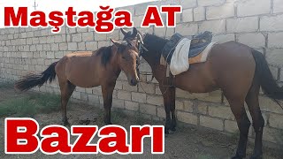 Maştağa AT BAZARI 08,08.21#maştağaatbazarı #maştsğamalbazarı