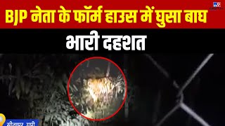 Uttar Pradesh के Sitapur में जंगल से भटका एक बाघ लोगों के लिए दहशत बन गया | UP News