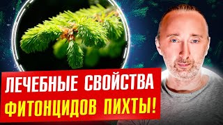 Как ОНИ укрепляют защитные силы организма?