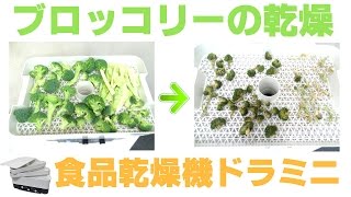 [ドライ野菜作り]家庭用フードドライヤーでブロッコリーの乾燥（ドラミニ）