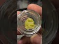 Cherry Bomb live rosin from ShopHellomary