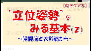 “立位姿勢” をみる基本（２）～腸腰筋と大殿筋から～