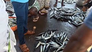 vypin fish market