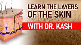 Learn the Layers of the SKIN for #esthetician state boards with Dr. Kash