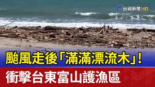 颱風走後「滿滿漂流木」！ 衝擊台東富山護漁區