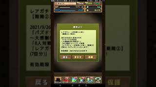 パズドラ　サブ垢で式神使いと妖ガチャ無料7連回してみました！😊