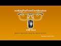 CSS Grid | Reduce Repetition Using the repeat Function | freeCodeCamp | 17 of 22