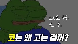 아빠 특 : 맨날 코곰