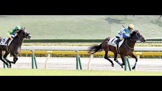 20241020 競馬ﾚｰｽﾄﾋﾟｯｸ　04【どｽﾛｰ逃切!】'24東4-6-6R T1400 2-5下 ミーントゥビー