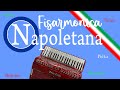 Neapolitan Accordion | Ballroom Dancing Balera | Classics 2023 [Tango, Waltz, Fox, Mazurka]