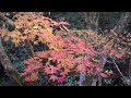 【京都 kyoto 】詩仙堂の紅葉 shisendo