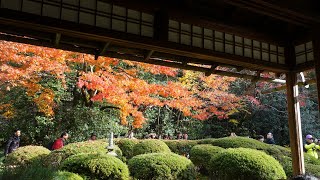 【京都 KYOTO 】詩仙堂の紅葉  SHISENDO