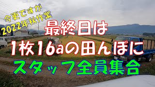 今更ですが2022年秋作業 最終日は1枚16aの田んぼにスタッフ全員集合 美味しいお米 通販 長野県 信州 飯山 コシヒカリ 幻の米 農家 金崎さんちのお米