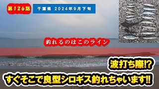 【千葉県 富津海岸】良型シロギスすぐそこで釣れちゃいます!!波打ち際で連掛け!!『シロギス / サーフ投げ釣り /布引海岸/内房』