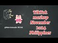 TikTok mashup NOVEMBER 2024 // MARS ESTOCADO// PHILIPPINES 🇵🇭🇵🇭