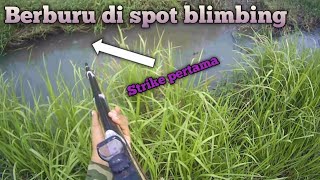 Berburu di spot blimbing || Sungai kecil tapi banyak ikan nilanya..