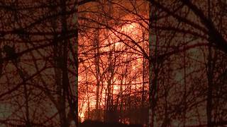 Buffalo firefighters battle massive warehouse fire. #shorts #shortsvideo