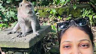 | BALI INDONESIA | MONKEY FOREST | PRIYANKA NALKARI |