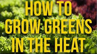 Thriving Greens in the Heat: Expert Tips and Tricks for Summer Gardening!