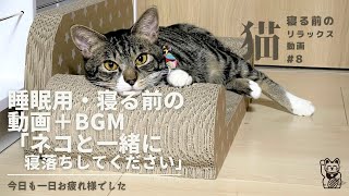 睡眠用BGM動画 ネコと一緒に寝落ち#8　音楽と一緒にネコの動画　ぶさいく顔で熟睡したあげく　ちょっとした音で起こしちゃったら睨まれた