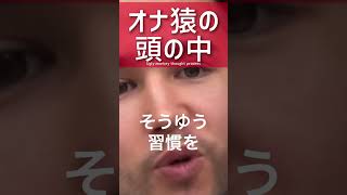 お前がオ○ニーを辞められない理由【ジョージ】