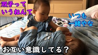 お互い意識する事増えてきた！男女双子双子赤ちゃん生後8ヶ月