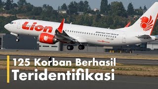 DVI Hentikan Identifikasi Korban Lion Air JT-610