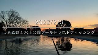 2022/2/3しらこばと水上公園トラウトフィッシング