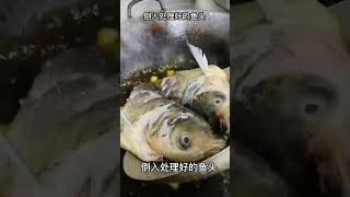 鱼头泡饼