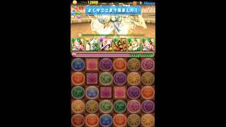 パズドラ【アテナ降臨！】超地獄級　地鎮の玄武・メイメイ×2