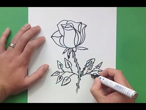 Como Dibujar Una Rosa Paso A Paso 10 | How To Draw A Rose 10 - YouTube