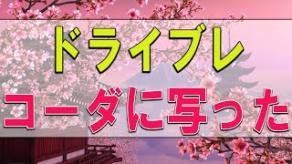 【テレフォン人生相談】ドライブレコーダーに写った妻の浮気