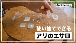 【アリ飼育】使い捨てできるエサ皿を作ってみた！【ant keeping】