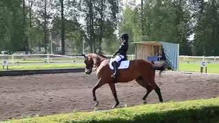 Jaana Kivimäki - Bellilene, NBCH Finnderby 2016